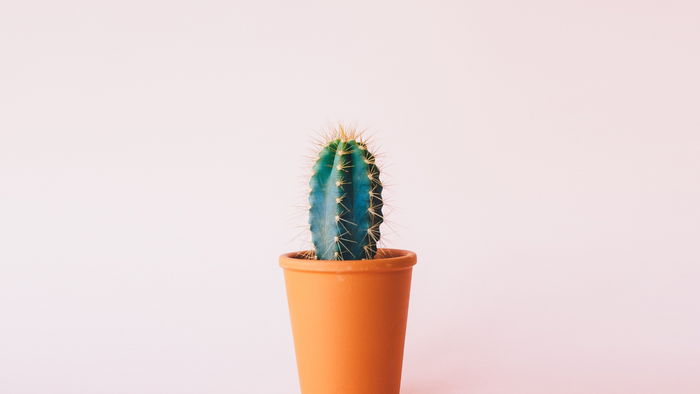 Acupuncture for Bruxism: Does acupuncture for teeth grinding work?